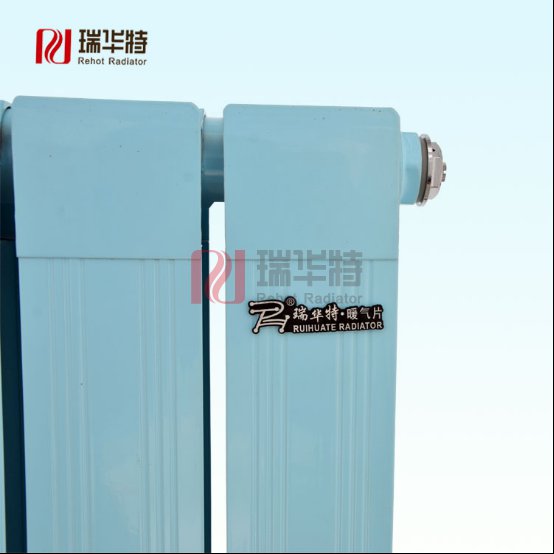 燃?xì)獗趻鞝t+暖氣片